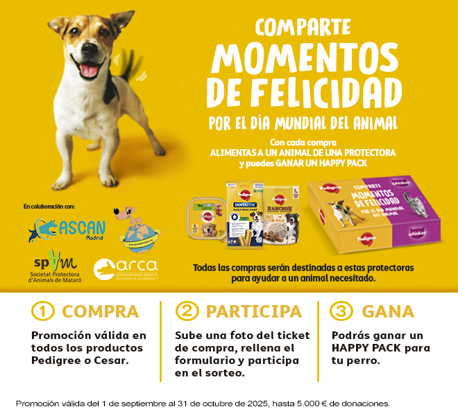 2357/promo/K8OJqQd2o64n8IrVWFms.jpg